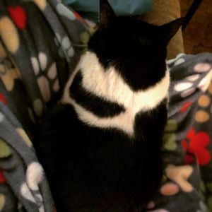 Meet your Posher, Dawn